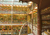 Top 100 Largest Libraries In The World - P80_Rijksmuseum ___.jpg