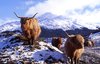 Sightseeing Ideas – Isle of Skye and Scottish Highlands ___.jpg