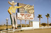 This Is What The Glory Days Of Drive-In Movies Looked Like.jpg