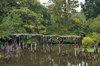 Abandoned Wooden Bridge, Screven County _ Vanishing South ___.jpg