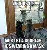 The Funniest Photos of Animals You Will See All Week!.jpg