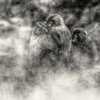 35 Amazing Black and White Photographs _ CrispMe.jpg
