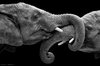 Best Black And White Photography 33 Desktop Background ___.jpg