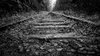 Old Rail Track Wallpaper 4K Background _ HD Wallpaper ___.jpg