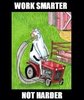 135 best wild laugh, gag, Jokes, naughty jokes, tech jokes ___.jpg