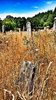 12 Abandoned Places In Oregon That Nature Is Reclaiming in ___(2).jpg