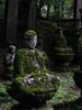 30 Must See Breathtaking Places Reclaimed by Nature - Organics(3).jpg