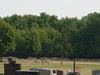 DSC00410.jpg