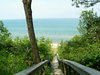 100_1146_resize.JPG