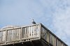 DSC_7578.jpg