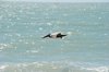 DSC_8879.jpg