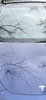 FC5E779C-4982-4DD4-8E78-1B4AF97F4C94.jpeg
