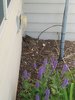 20170518_183756.jpg