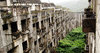 green-hashima-og.jpg