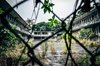 AbandonedPlacesHongKong__HERO_tak-tak-school-9.jpg