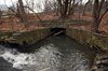 25_kensinger_tibbets_brook_DSC_6235.jpg