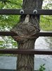images (20).jpeg