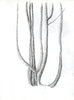sketchbook 21 2 2021 4 900.jpg