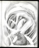 sketchbook 21 2 2021 12 900.jpg