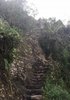 20210309_074425.jpg
