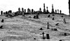 people-who-work-at-graveyards-shared-the-creepiest-things-theyve-witnessed.jpg