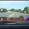 81Malibu