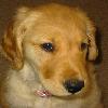 kipperoo3's Avatar