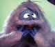 Molly_Ringworm's Avatar