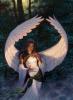 Perlitarose's Avatar